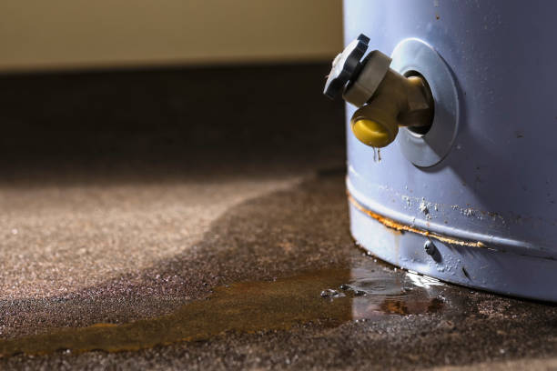 Best Flooded house restoration  in Islip Terrace, NY