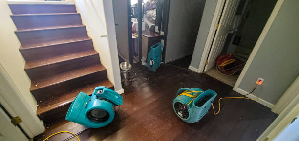Best Commercial water damage restoration  in Islip Terrace, NY