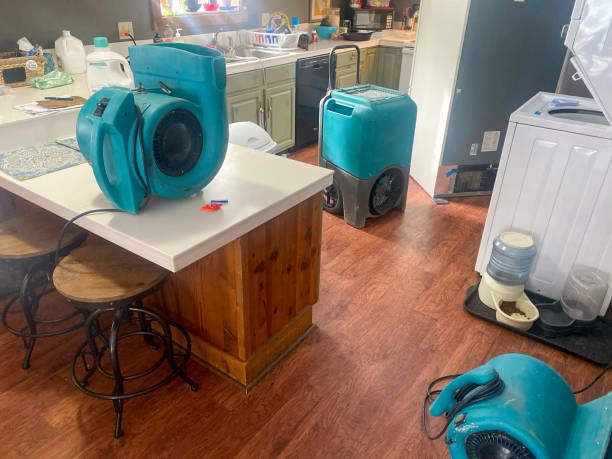 Best Professional water damage repair  in Islip Terrace, NY