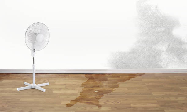 Best Residential water damage restoration  in Islip Terrace, NY