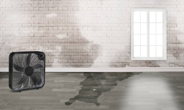 Best Basement water damage restoration  in Islip Terrace, NY