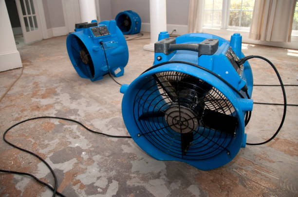 Best Water damage restoration near me  in Islip Terrace, NY
