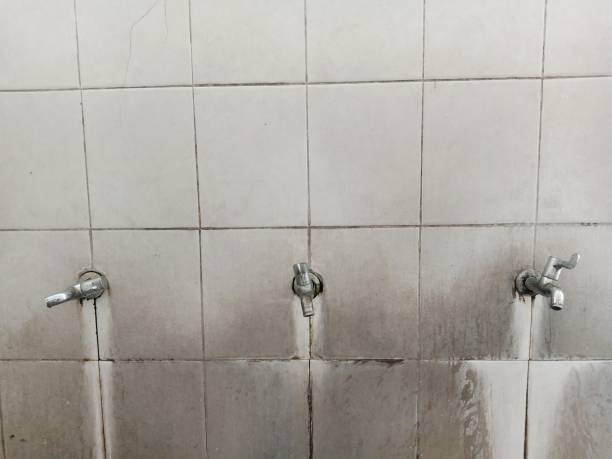 Best 24-hour water damage restoration  in Islip Terrace, NY