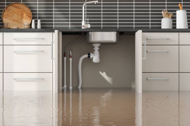 Best Mold removal after water damage  in Islip Terrace, NY