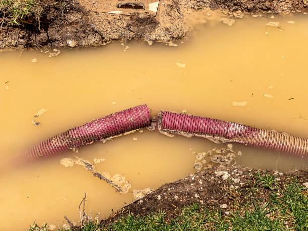 Best Water damage restoration near me  in Islip Terrace, NY